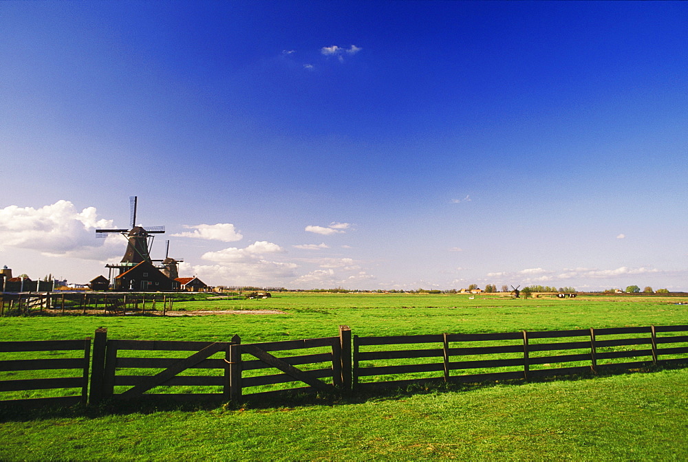 Traditional windmill in a field, Amsterdam, Netherlands