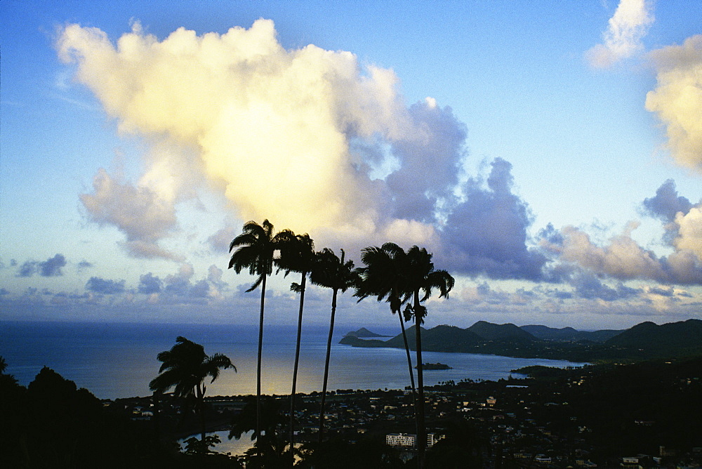 Palm trees are seen against tropical cloud formation on the island of St. Lucia