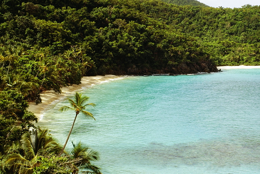 High angle view of a coast, St. John, U.S. Virgin Islands