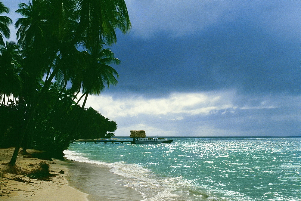 View of a scenic beach lined up by palm trees, Pigeon Point, Tobago, Caribbean