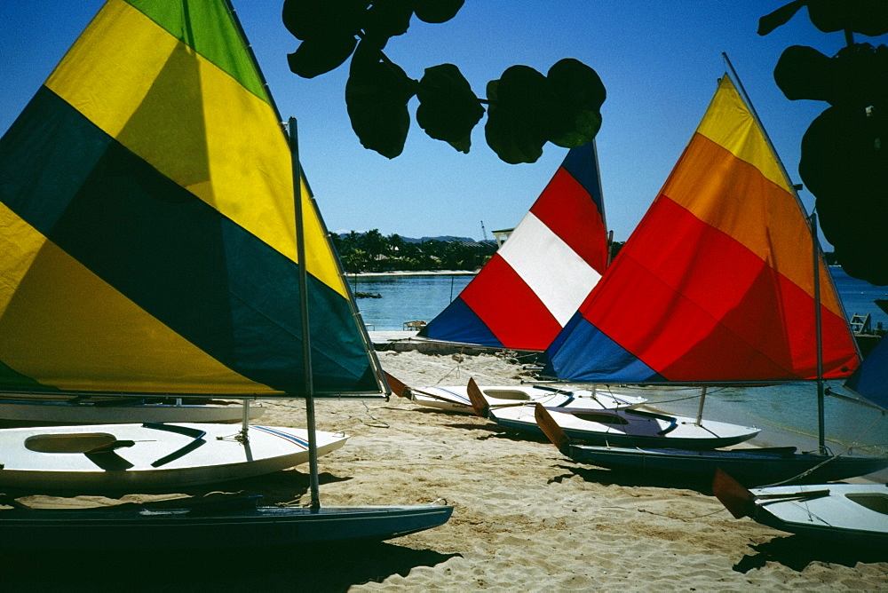 Side view of brightly colored sails on windsurf boards, Jamaica