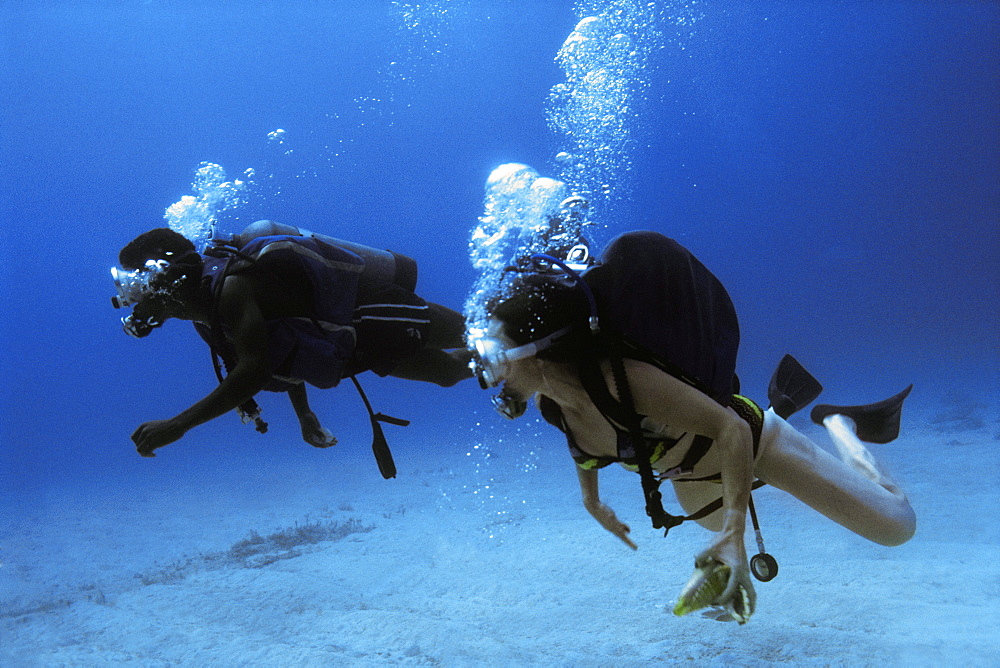 Scuba Divers are seen underwater in Jamaica