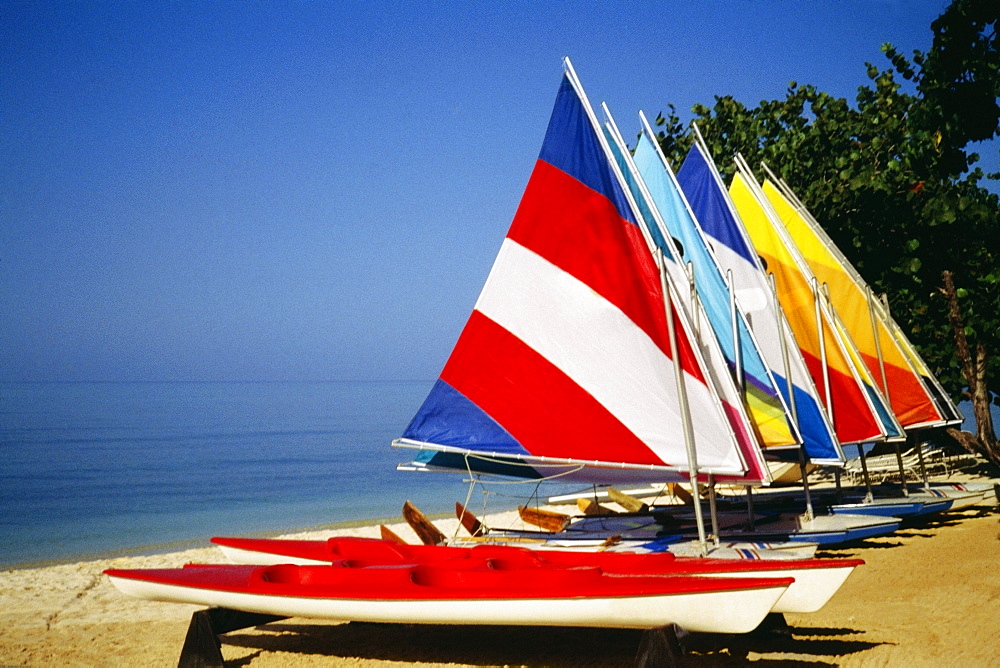 Brightly colored sails on windsurf boards at Hedonism Resort, Jamaica