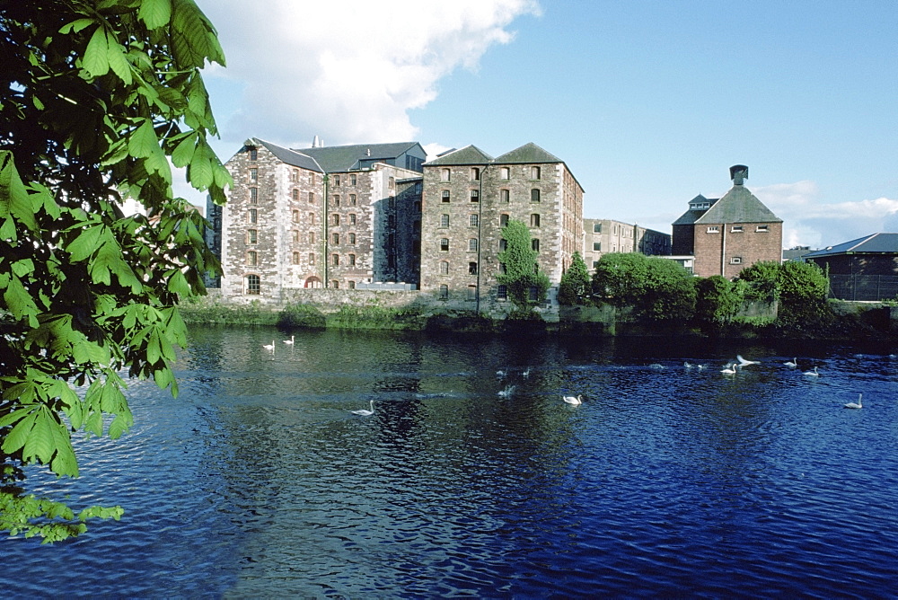 High angle view of ducks in water, Lee River, Cork, Republic of Ireland