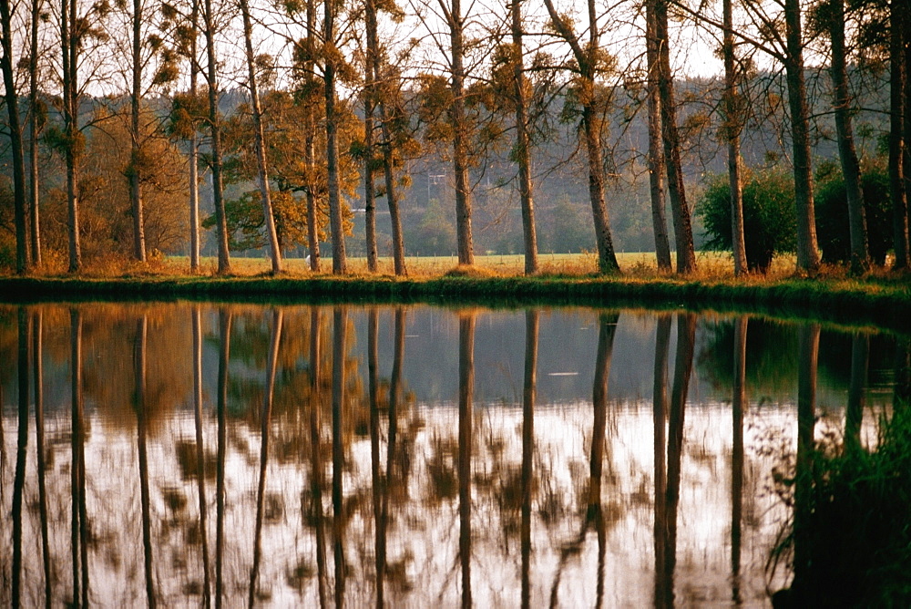 Reflection of multiple trees in Bungundy Canal Lake, France