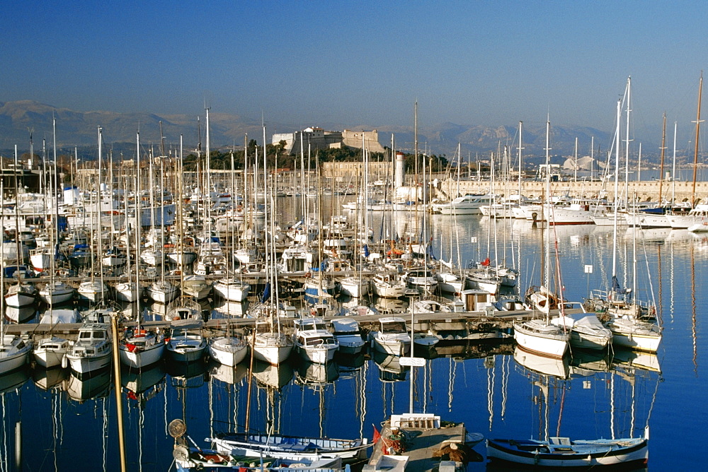 Large group of sailboats docked at Antibes/Cote D'Azur, France