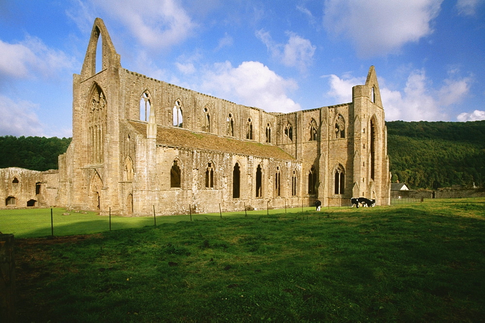 Side view of TinTern Abbey in Wales