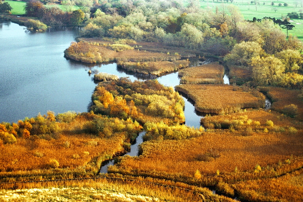 High angle view of bogs in Edinburgh, Scotland