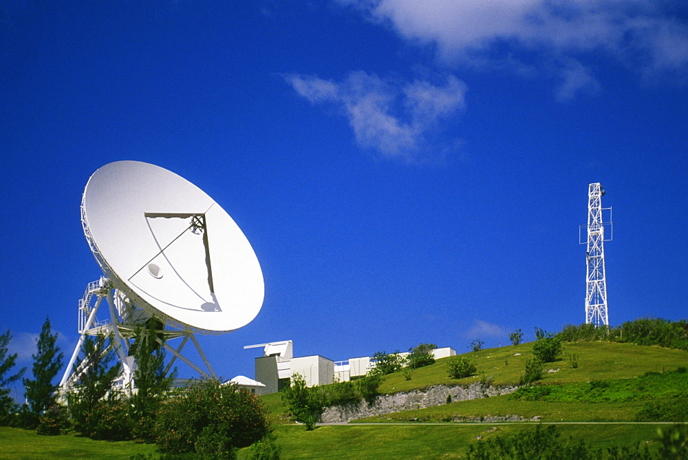 Side view of satellite dish amidst grass and shrubs, Devonshire, Bermuda