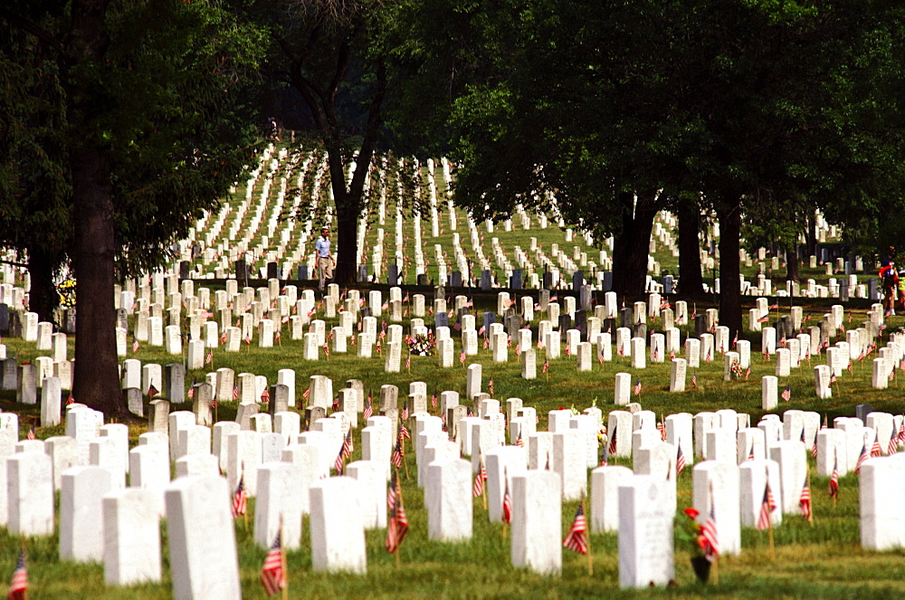 Tombstones in a cemetery, Arlington National Cemetery, Arlington, Virginia, USA