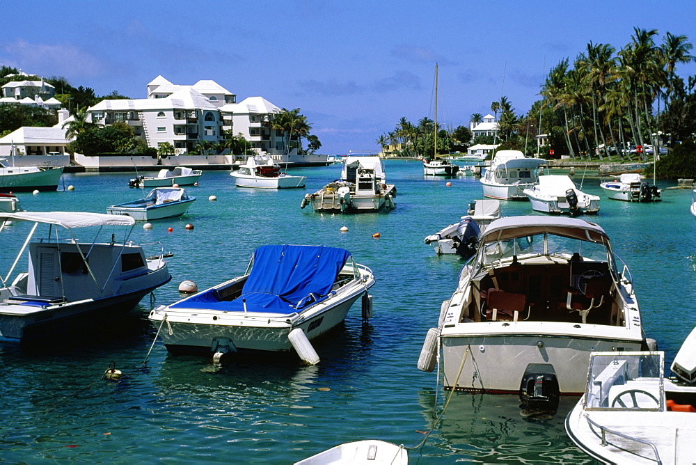 Several boats are harbored in the ocean, Bermuda