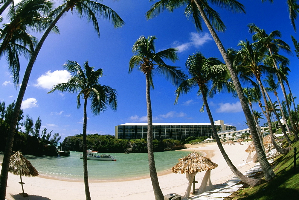 Low angle view of palm trees on a beach, Somesta hotel, Bermuda