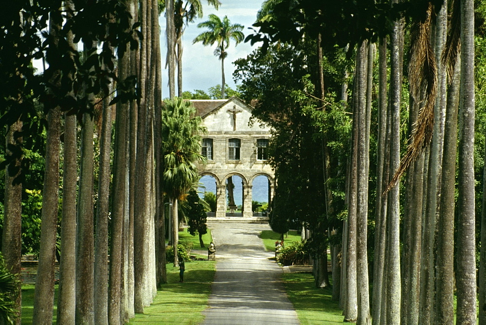 A boy's private school is seen on a palm lined avenue on the island of Barbados, Caribbean