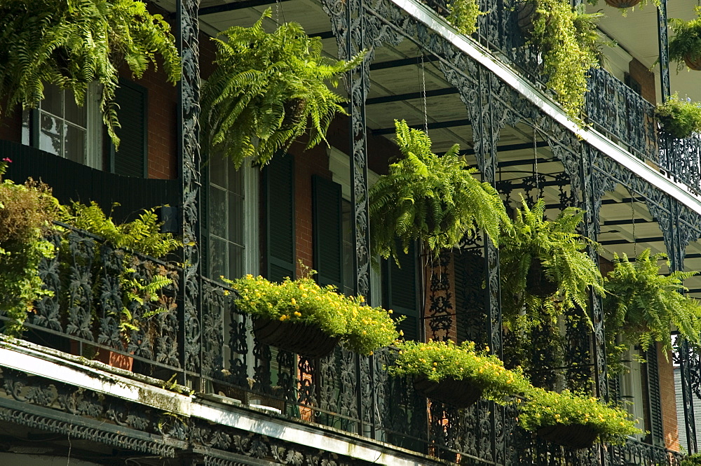 Low angle view of hanging baskets on a building, New Orleans, Louisiana, USA