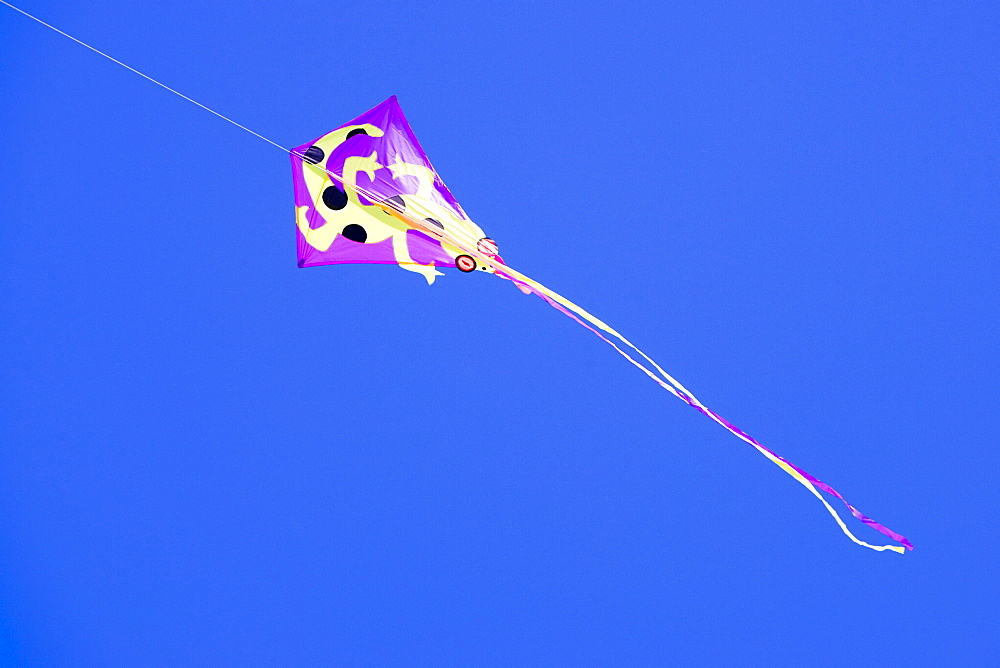 Low angle view of a kite in the sky, Miami, Florida, USA