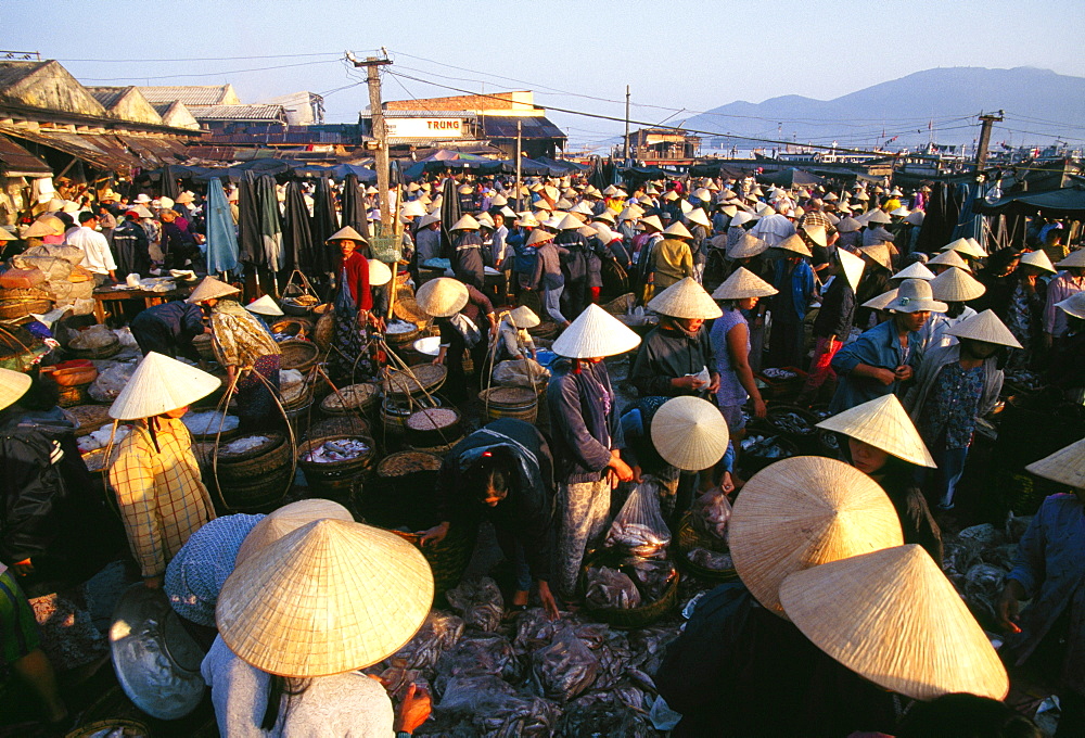 Fish market, Danang, Vietnam