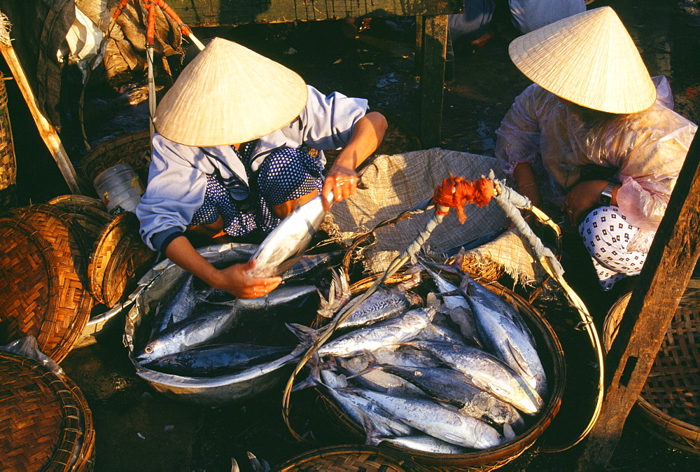 Fish market, Danang, Vietnam