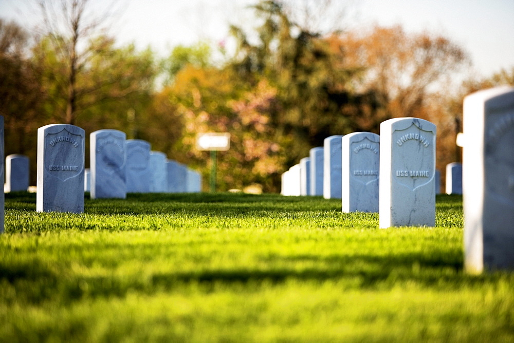 Graveyard of Standard Issue Markers, Washington DC, USA