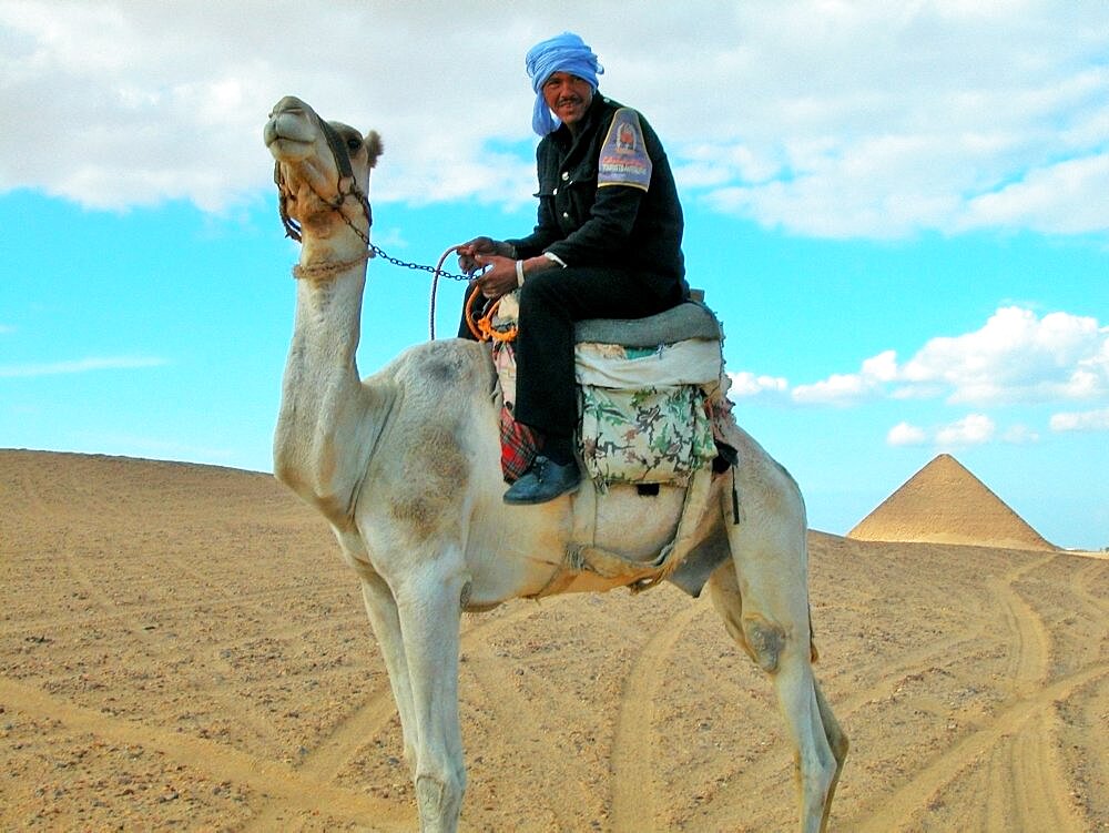 Portrait of a man riding a camel