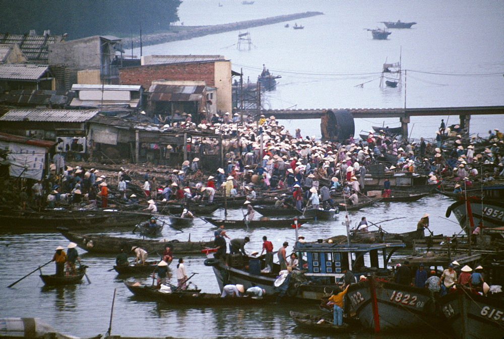 Morning fish market, Danang, Vietnam