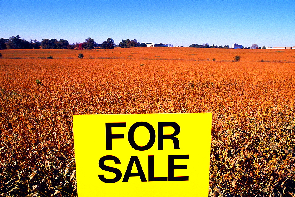 For sale sign on farmland - soy bean field & blue sky in the background, Gaithersburg, MD