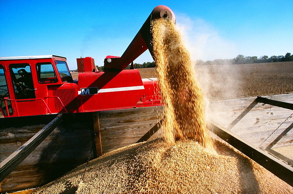 Close-up of a combine loading soy beans into the truck, Midwest, USA