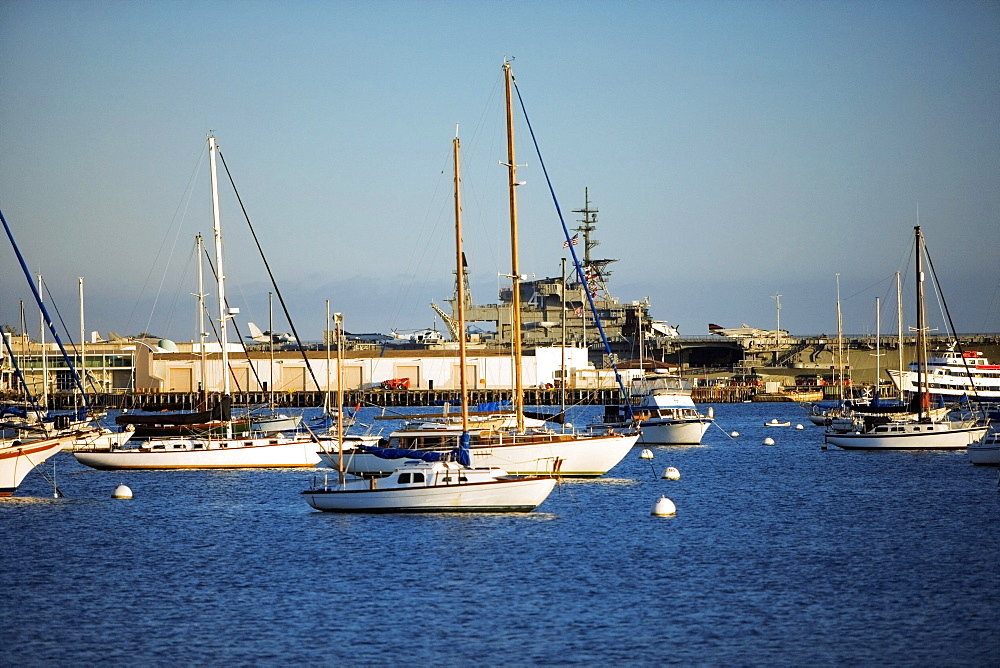 Yacht's docked at a harbor, San Diego Bay, California, USA