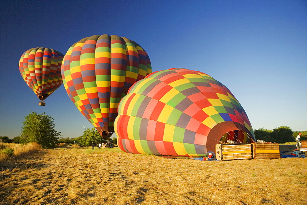 Hot air balloons preparing to take off