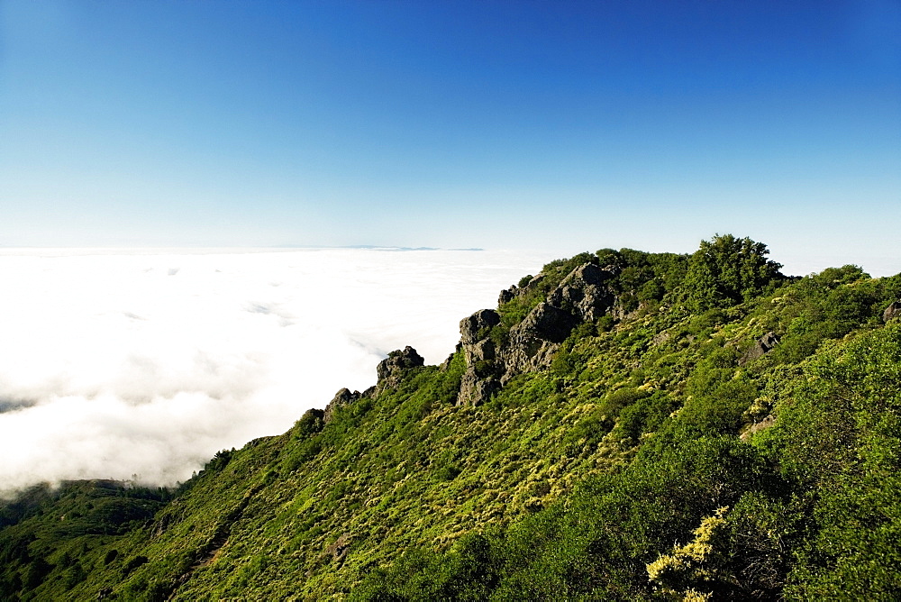 Panoramic view of a mountain, Mt. Tamalpais State Park, California, USA