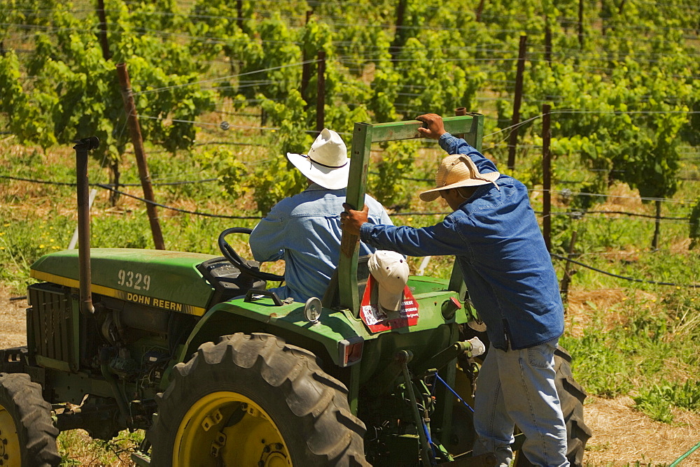 Rear view of two farmers on a tractor