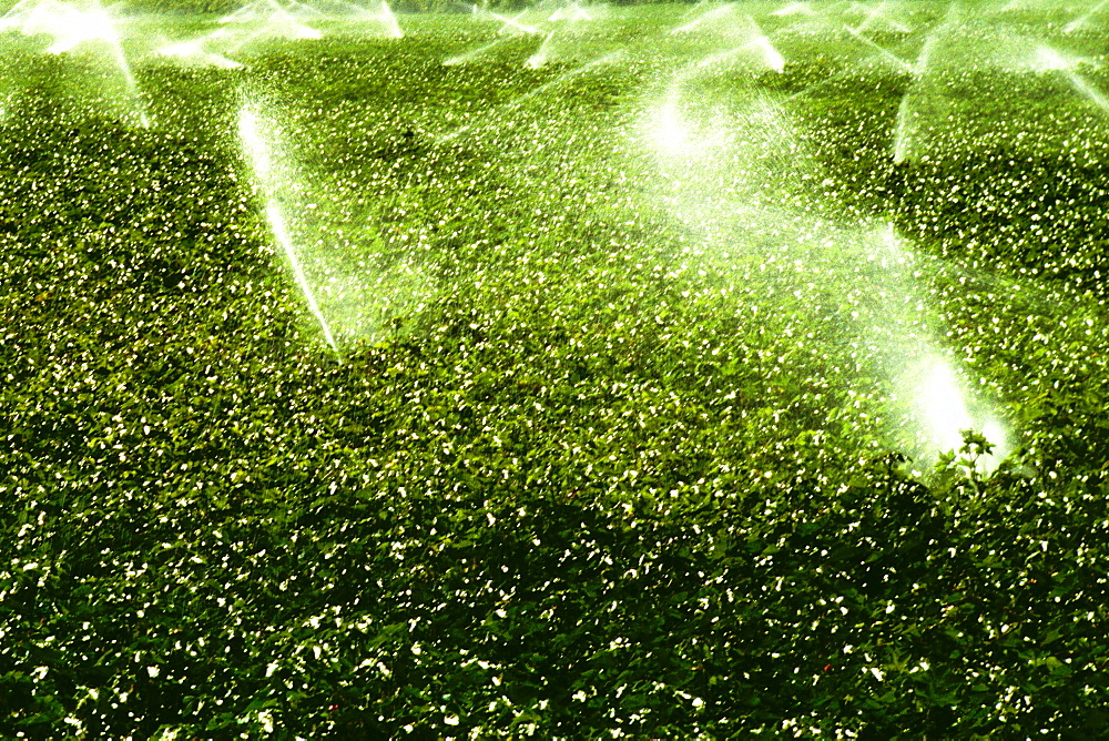 High angle view of sprinklers spraying water on a field