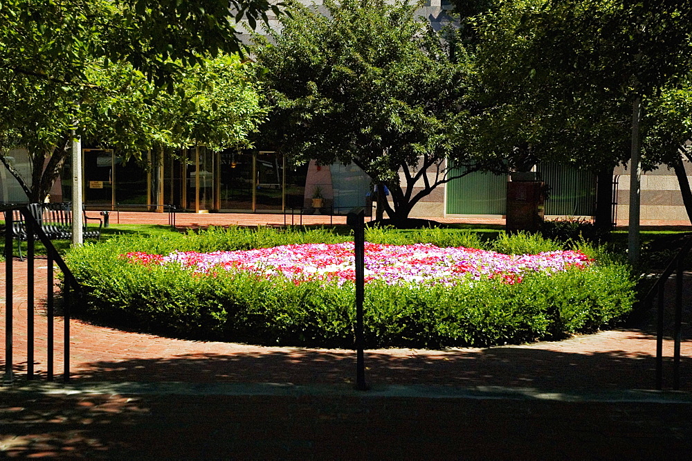 Trees and flowers at a park, Cardinal Cushing Memorial Park, Boston, USA