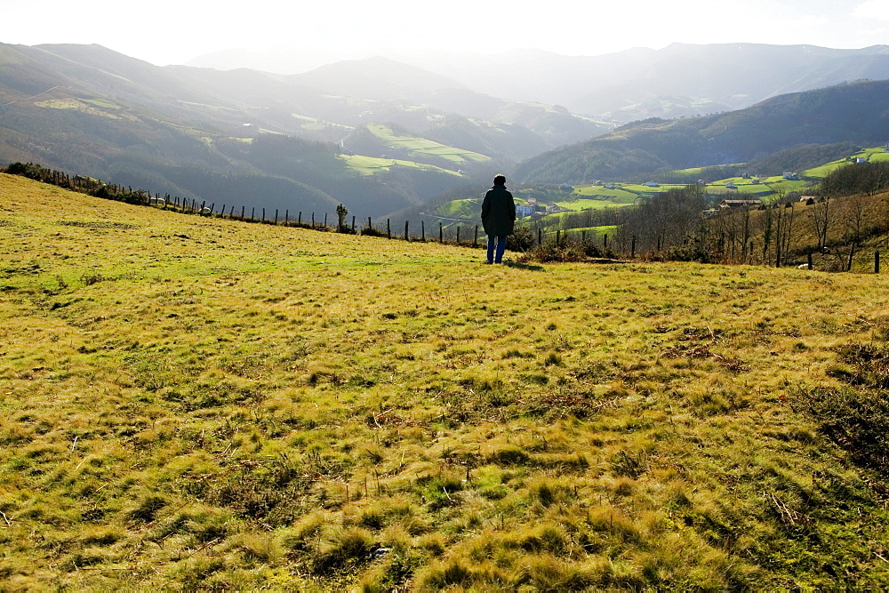 Rear view of a man standing on a hillside, Spain