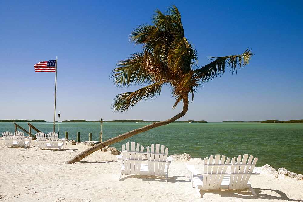 Empty adirondack chairs and a palm tree on the beach