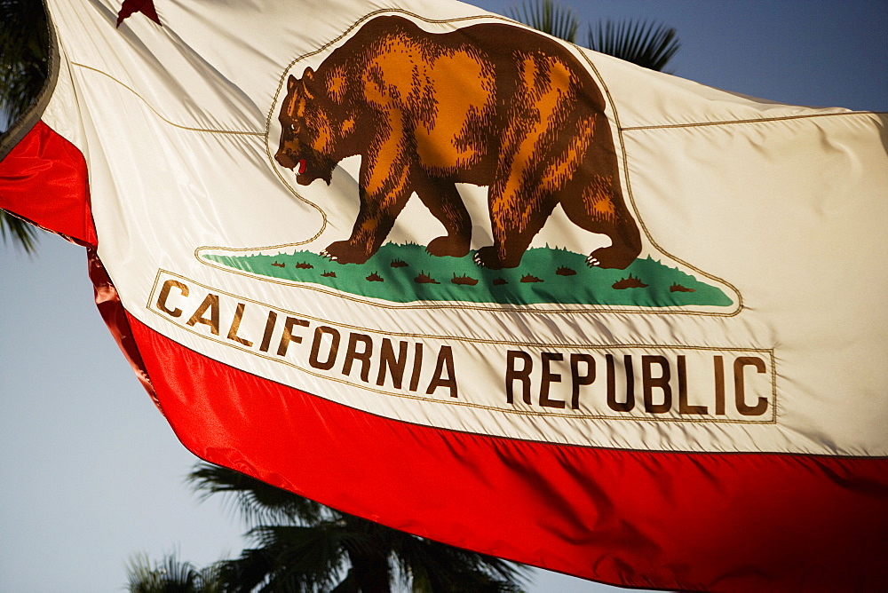 Low angle view of a California Republic flag