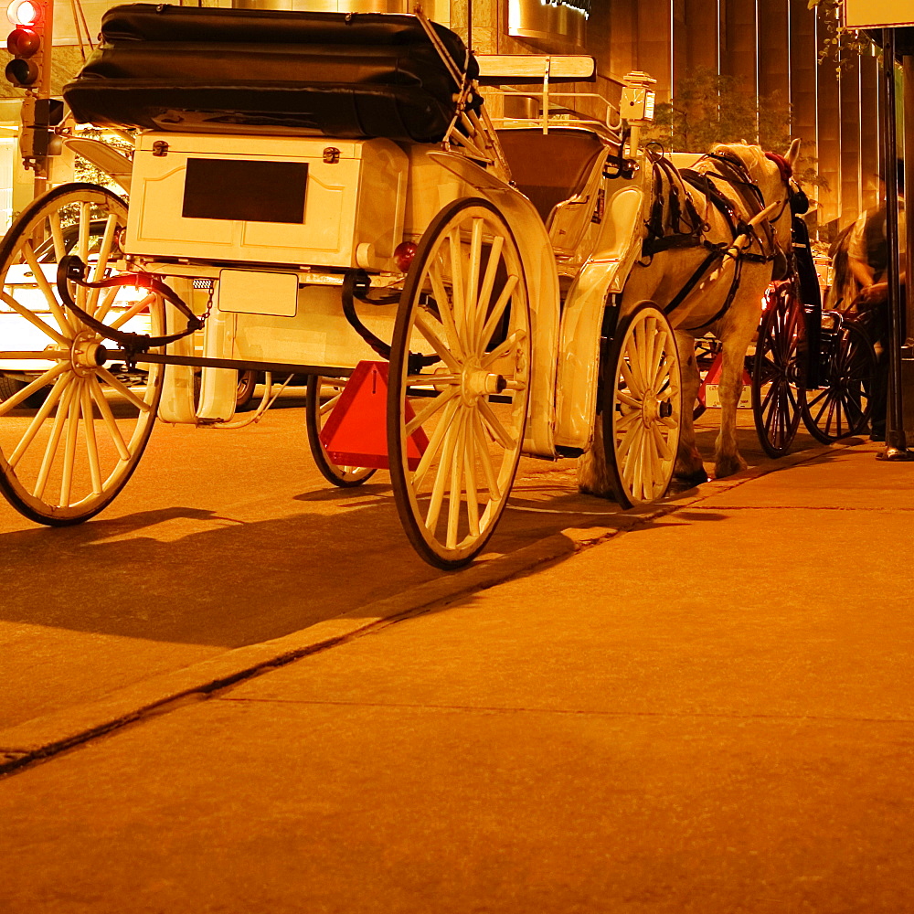 Horse cart on the road, Chicago, Illinois, USA