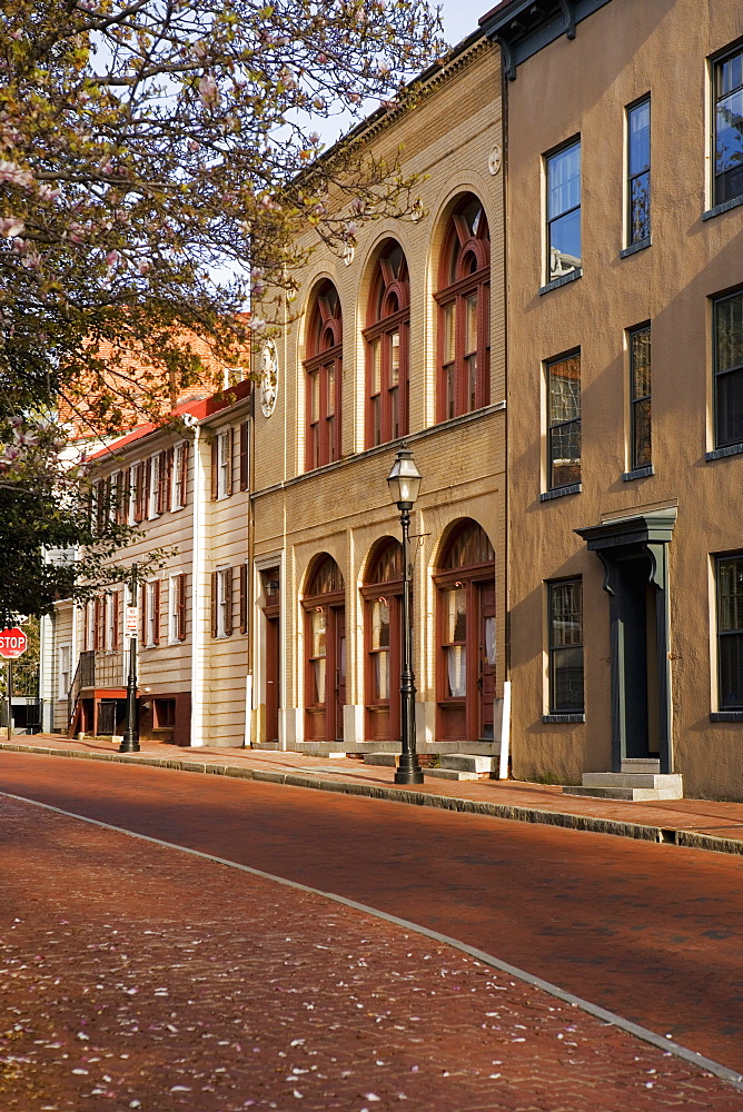 Street in front of buildings, Annapolis, Maryland, USA
