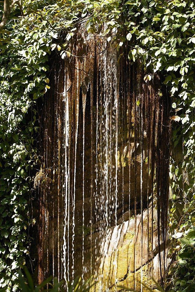 Waterfalls in a forest, Hana Highway, Twin falls, Maui, Hawaii Islands, USA