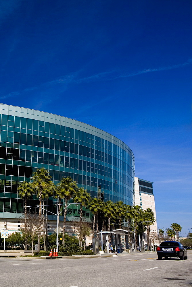 Palm trees in front of a shopping mall, Tampa Bay Center, Tampa, Florida, USA