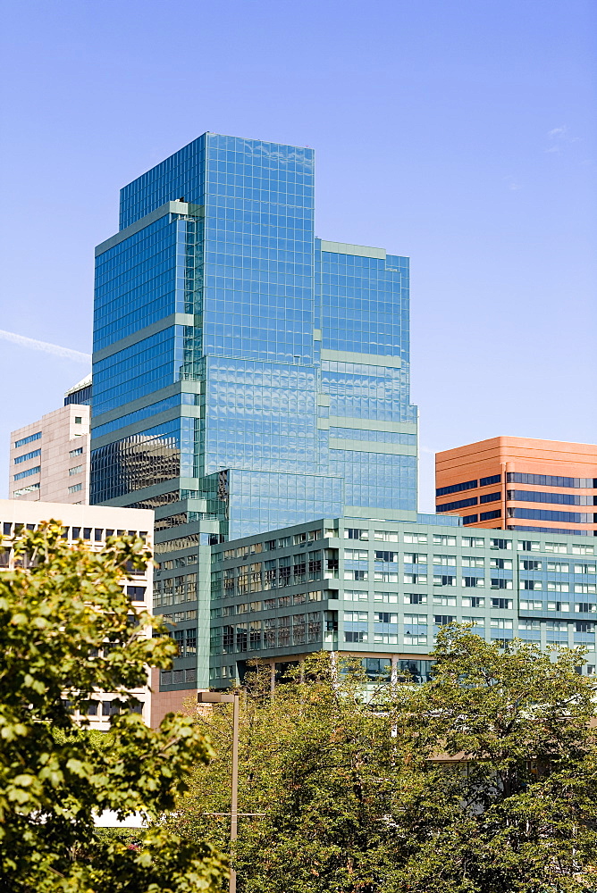 Buildings in a city, Baltimore, Maryland, USA