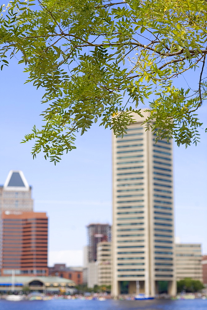 Buildings at the waterfront, World Trade Center, Inner Harbor, Baltimore, Maryland, USA