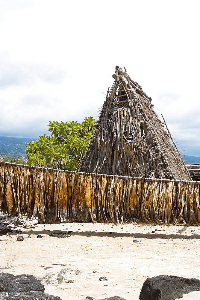 Tobacco leaves drying in front of a hut, Kona, Big Island, Hawaii Islands, USA