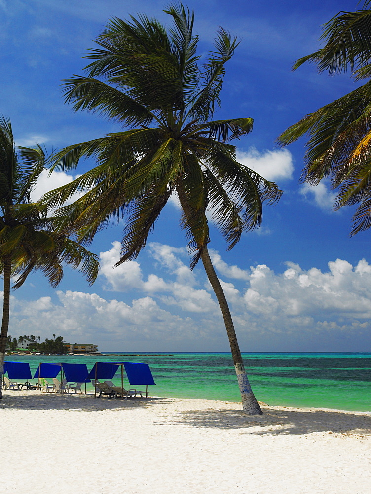 Tents and chairs on the beach, Spratt Bight Beach, San Andres, Providencia y Santa Catalina, San Andres y Providencia Department, Colombia