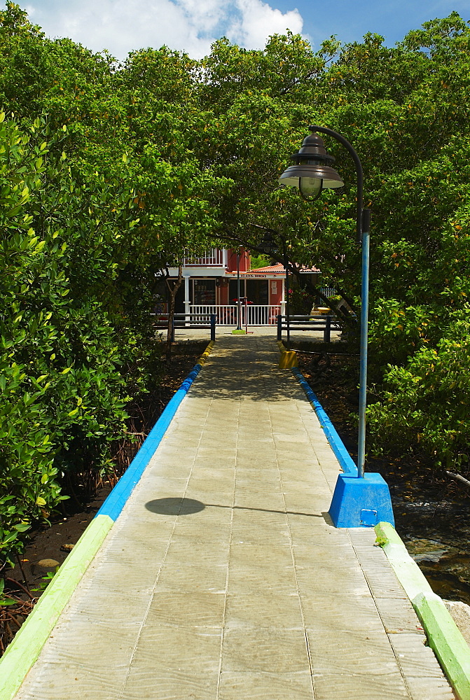 Path leading towards a building, Lovebird's Bridge, Providencia, Providencia y Santa Catalina, San Andres y Providencia Department, Colombia