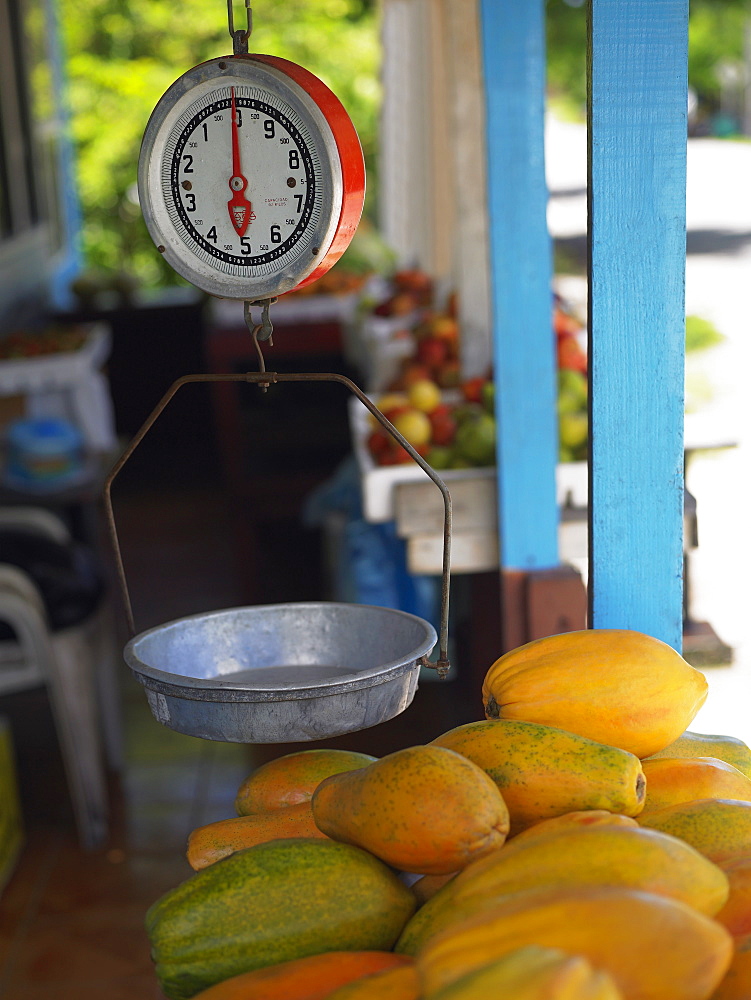 Weighing scale over a heap of papayas at a market stall, Providencia, Providencia y Santa Catalina, San Andres y Providencia Department, Colombia