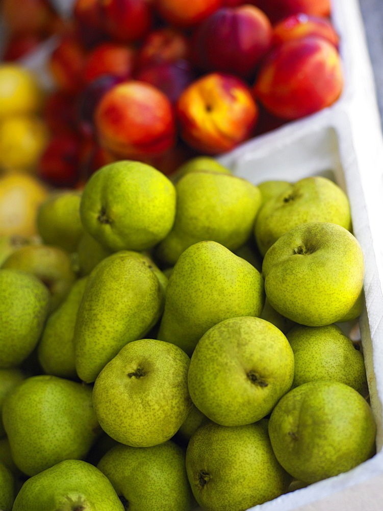 Close-up of fruits in fruit cartons, Providencia, Providencia y Santa Catalina, San Andres y Providencia Department, Colombia