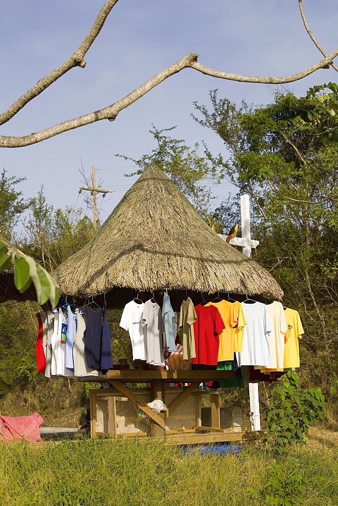 T-shirts hanging on a stall, Jonesville, Roatan, Bay Islands, Honduras