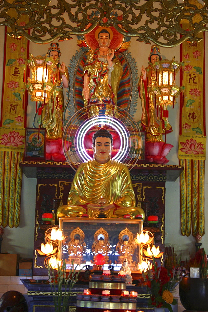 Statue of Buddha in a temple, Dong Hoi, Vietnam