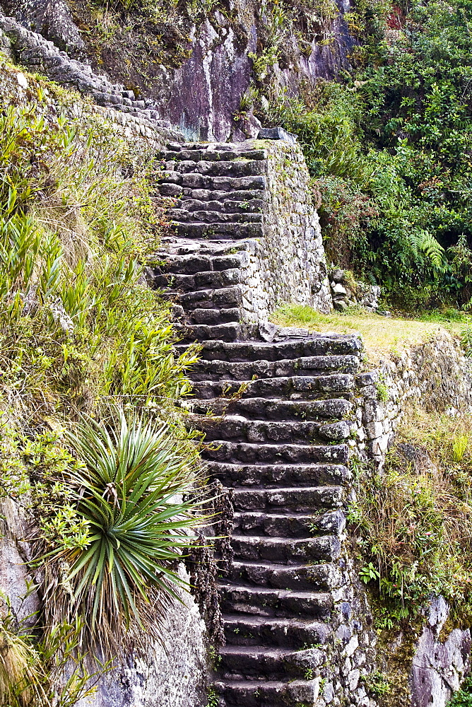 High angle view of ruined steps, Aguas Calientes, Mt Huayna Picchu, Machu Picchu, Cusco Region, Peru