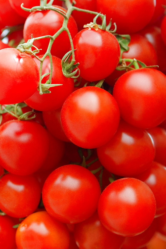 Close-up of tomatoes at a market stall, Sorrento, Sorrentine Peninsula, Naples Province, Campania, Italy